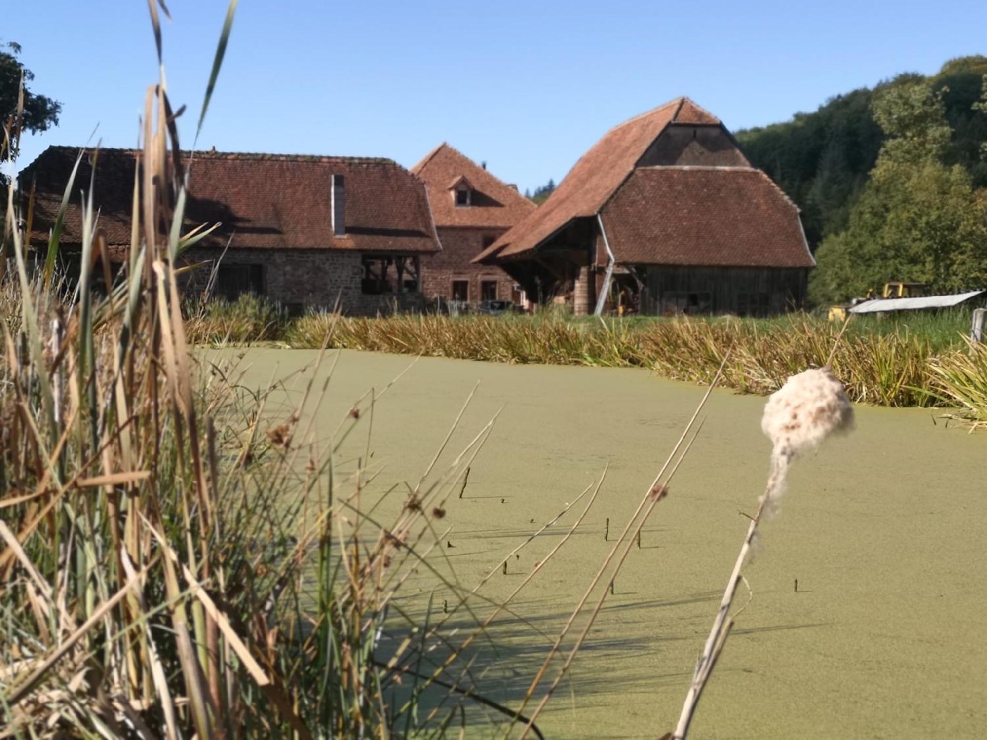 Maison D'Hotes De Charme - Ancien Moulin En Pleine Nature - La Paulusmuehle Soucht Zewnętrze zdjęcie