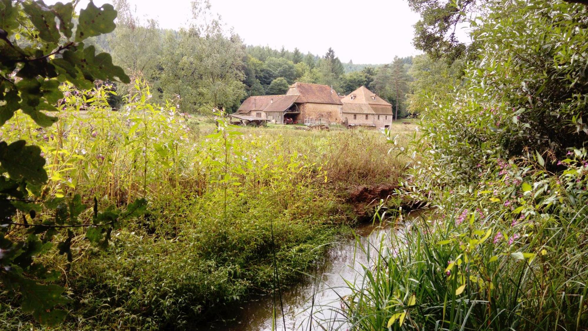 Maison D'Hotes De Charme - Ancien Moulin En Pleine Nature - La Paulusmuehle Soucht Zewnętrze zdjęcie