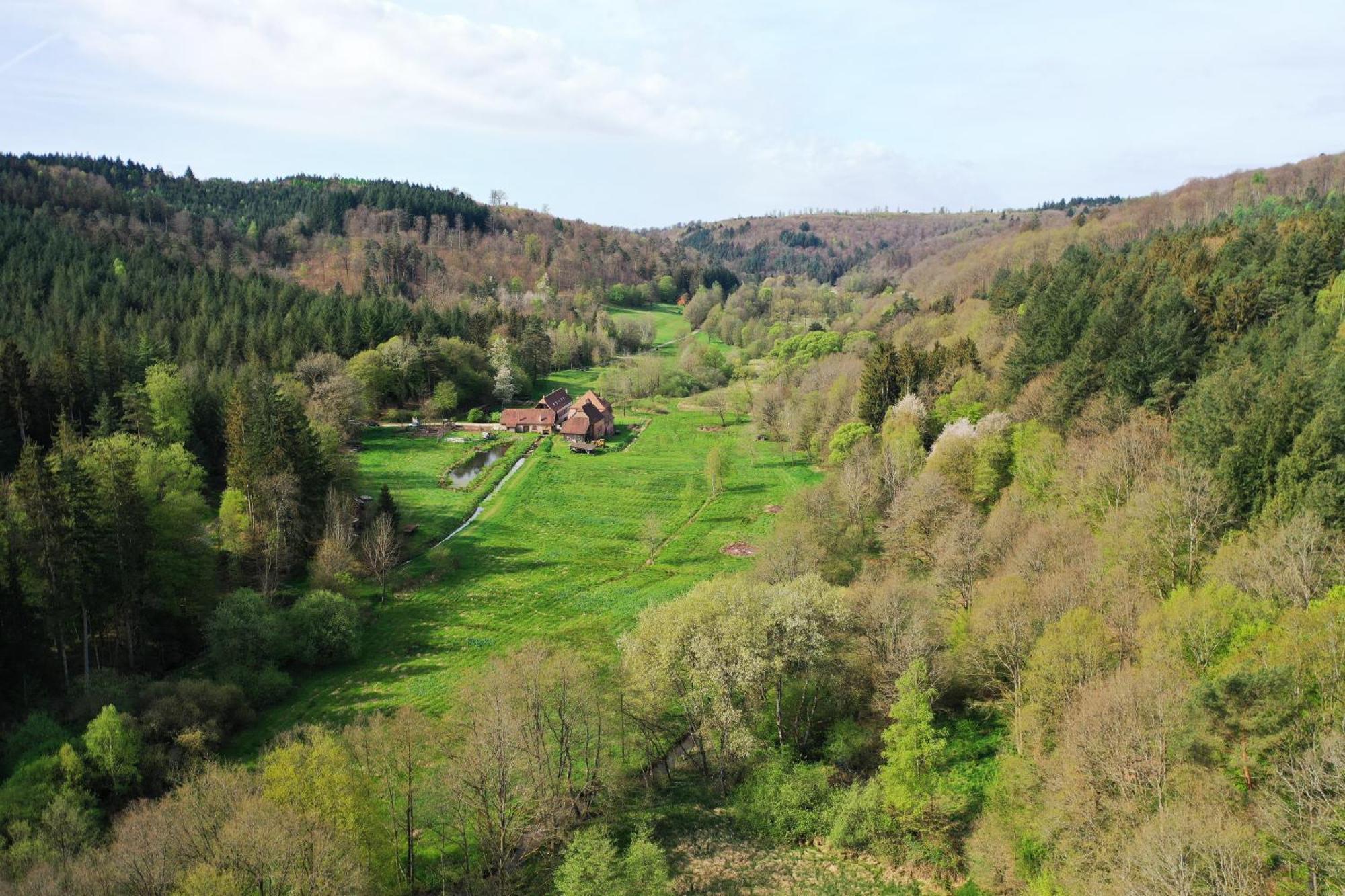 Maison D'Hotes De Charme - Ancien Moulin En Pleine Nature - La Paulusmuehle Soucht Zewnętrze zdjęcie