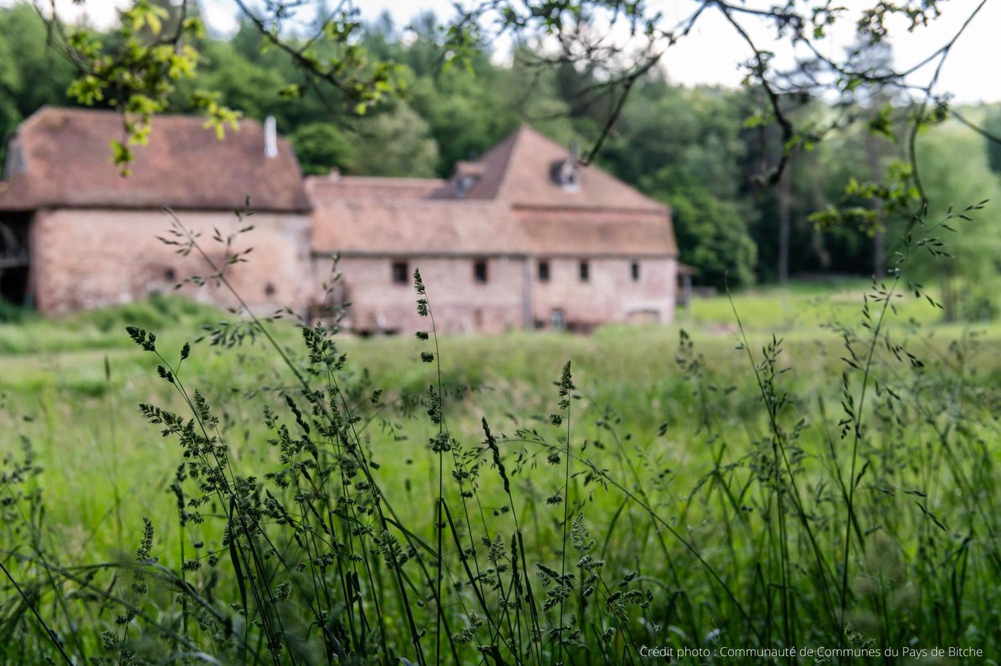Maison D'Hotes De Charme - Ancien Moulin En Pleine Nature - La Paulusmuehle Soucht Zewnętrze zdjęcie